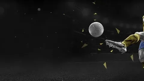 星空体育网页版 100827 1